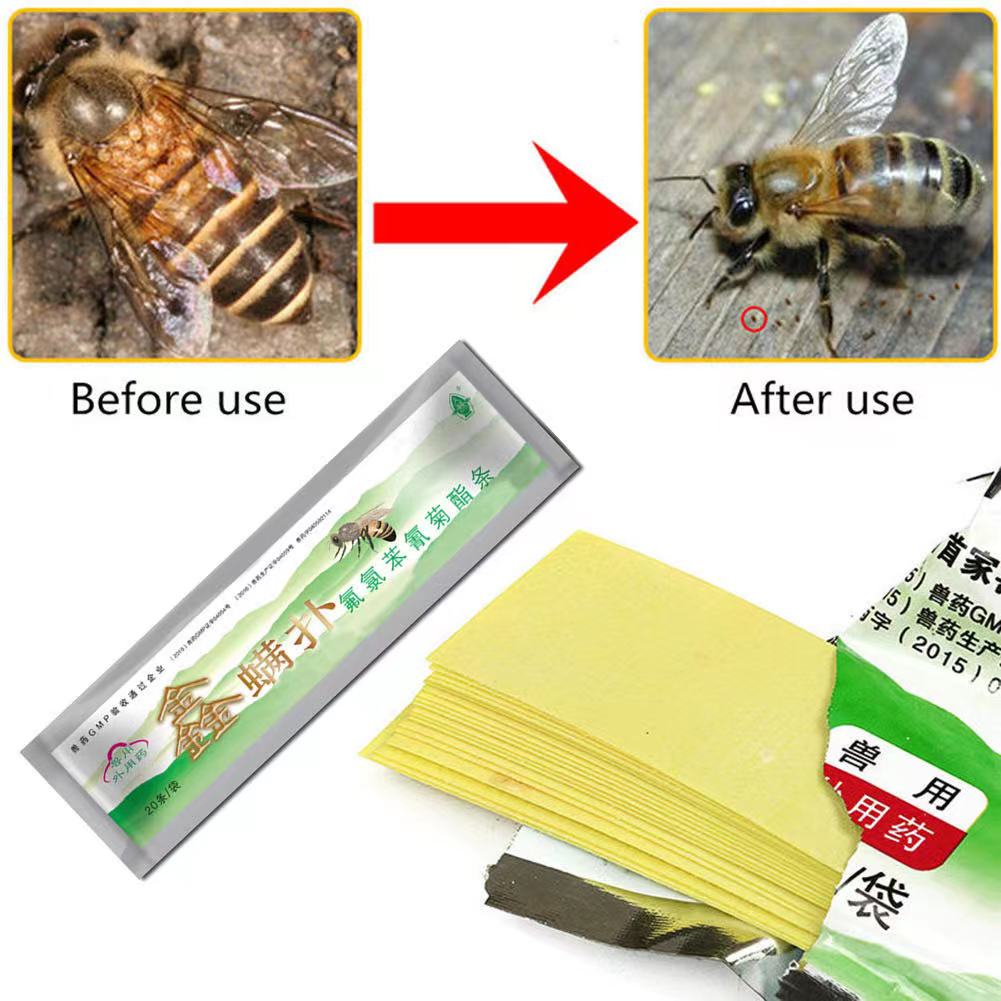 1 bag/20pcs bee mite fluvalinate strip strips beekeeping varroa farm mite killer treatment acaricide control medicine supplies EZYSELLA SHOP