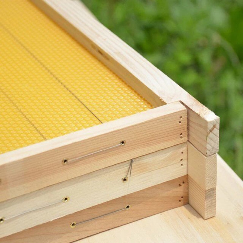 Build an Italian bee hive with confidence 1100 Pcs Italian Bee Beehive Nest Box Threading Hole Nest Box Nest Foundation Copper Eye Beekeeping Tools EZYSELLA SHOP