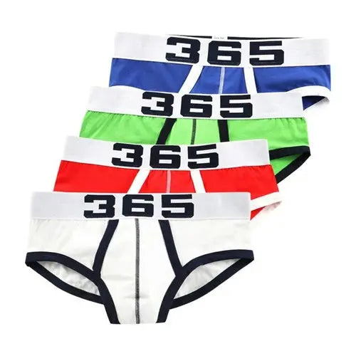 4pcs/lot Mens Underwear Briefs Cotton Men's Bikini Briefs Pouch XXXLSkyblue4pcs Underwear 131.08 EZYSELLA SHOP
