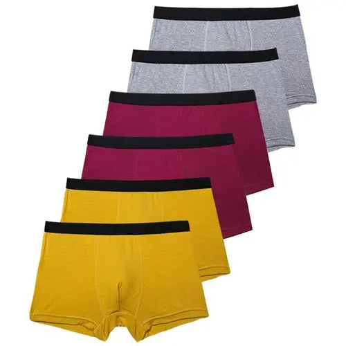 6pcs/Set Black Boxer Men Underpants Bamboo Mens Boxers Man Breathable XXXLBurgundy Underwear 114.96 EZYSELLA SHOP