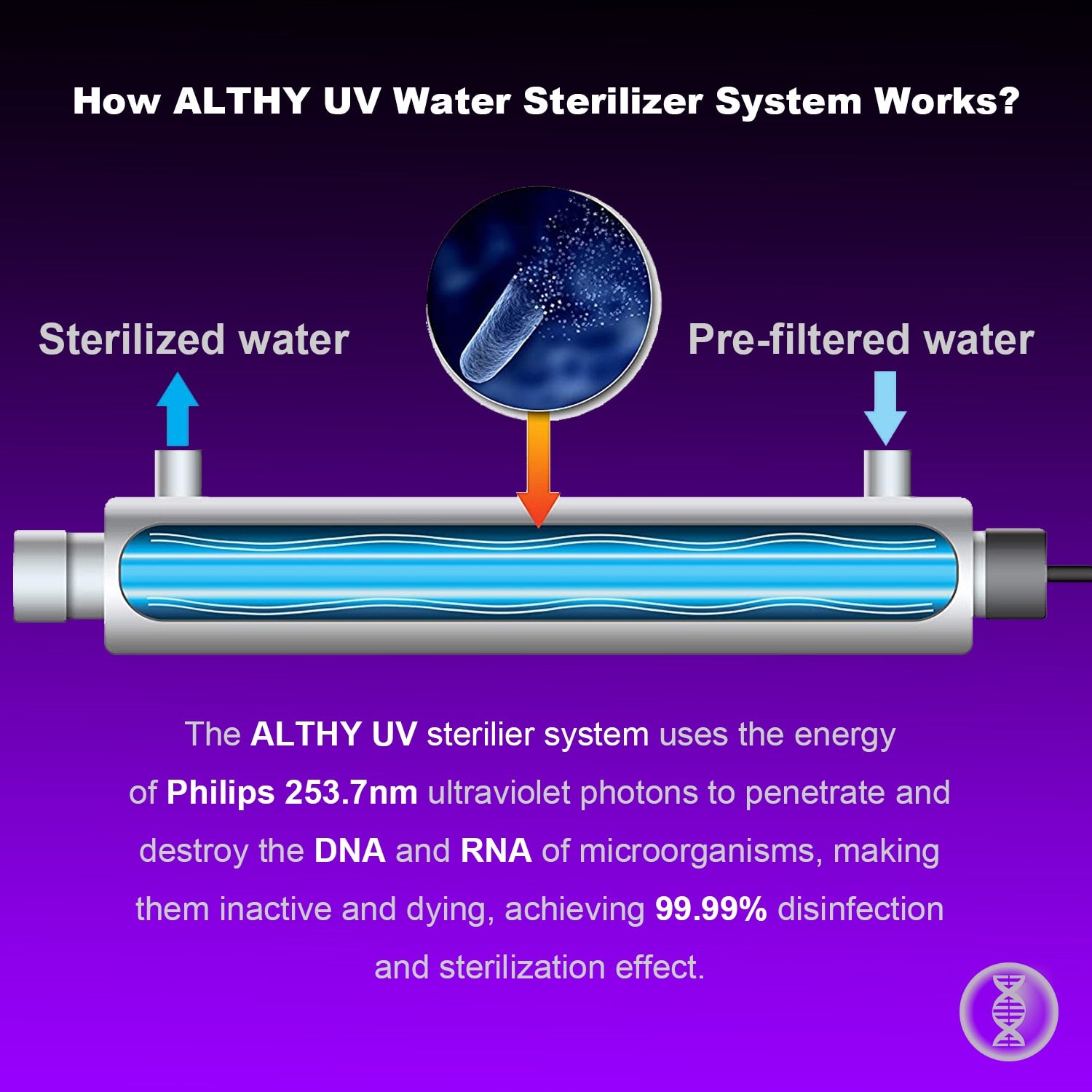 ALTHY Stainless Steel UV Water Sterilizer System Ultraviolet Tube Lamp Direct Drink Disinfection Filter Purifier 1GPM / 2GPM  Hardware > Plumbing > Water Dispensing & Filtration 203.99 EZYSELLA SHOP