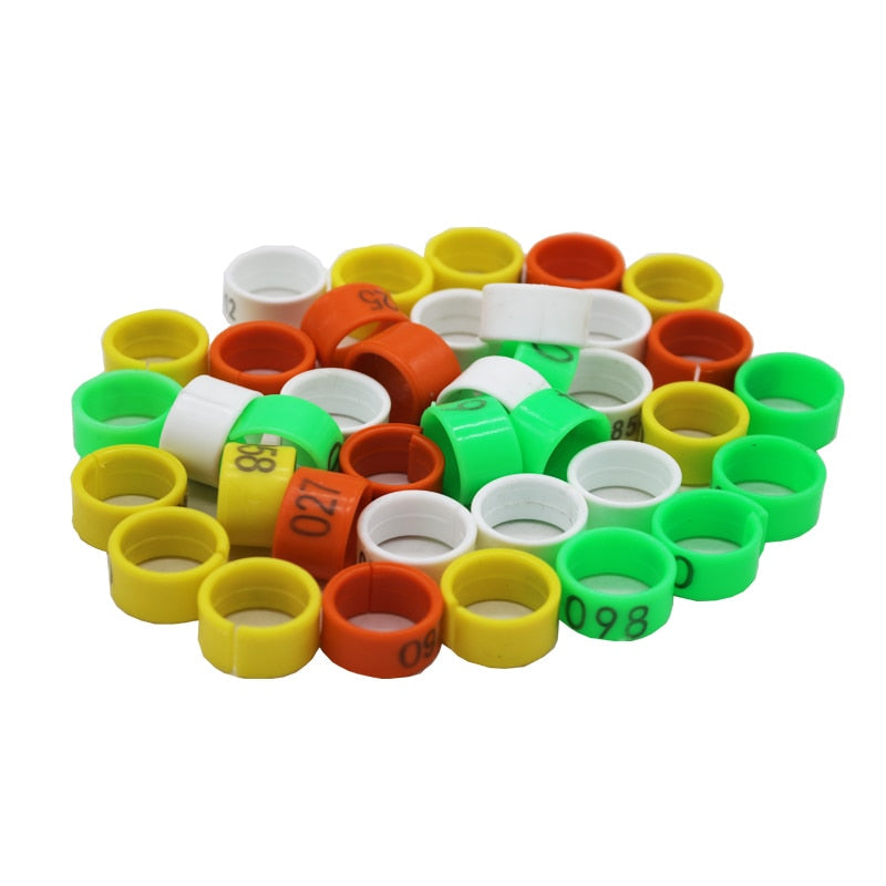 Chicken Duck Goose Foot Ring 1.6cm Poultry Identification Rings Birds Feeding Equipment Animal Management Tools Mixedcolor1.6cm Animals & Pet Supplies > Pet Supplies > Pet ID Tags 32.55 EZYSELLA SHOP
