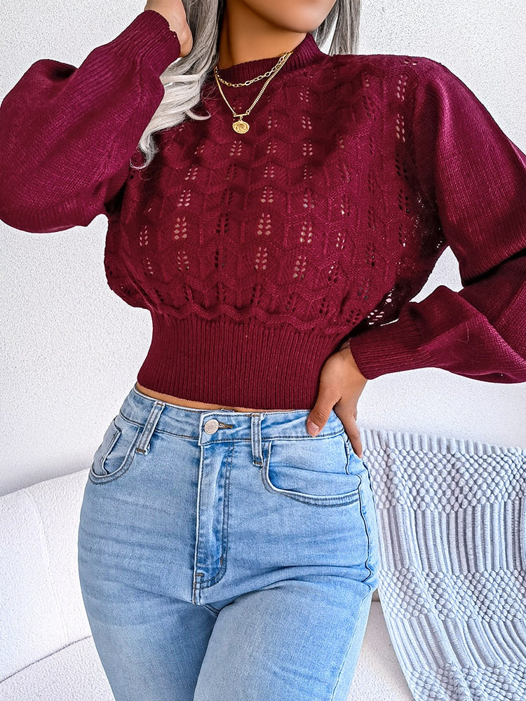 Autumn Winter Sexy Women's Sweater Fashion Knitted Long Sleeve Hollow Crop Top Casual Slim Sweaters Elegant Red Pullover 2023 BurgundyL  60.99 EZYSELLA SHOP