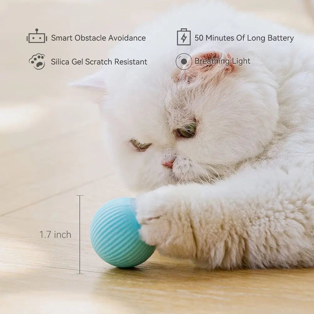 Smart Cat Toys  Electric Cat Ball Toy Automatic Rolling for Cats  Animals & Pet Supplies > Pet Supplies > Cat Supplies > Cat Toys 38.99 EZYSELLA SHOP